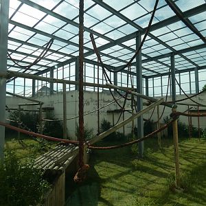 Chimpanzee outdoor enclosure