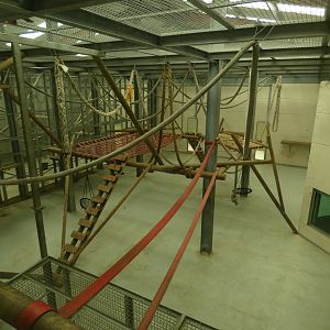 Chimpanzee indoor enclosure