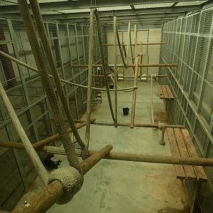 Chimp indoor enclosure (2)