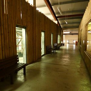 Upper viewing area for Chimpanzees