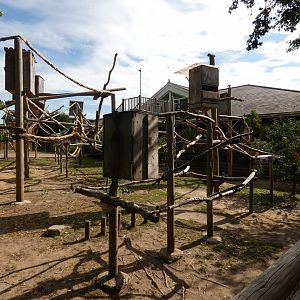 Macaw and Spurred Tortoise enclosure
