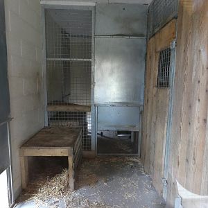 Clouded Leopard indoor enclosure
