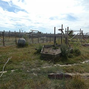 Manchurian Black Bear outdoor enclosure
