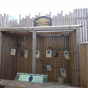 The Silent Aviary