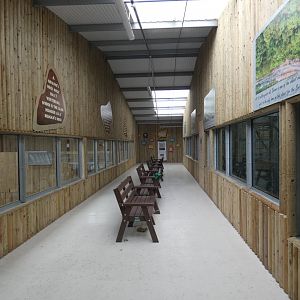 View of Orangutan and Giraffe house