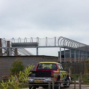 Tunnel from Orangutan house to enclosure
