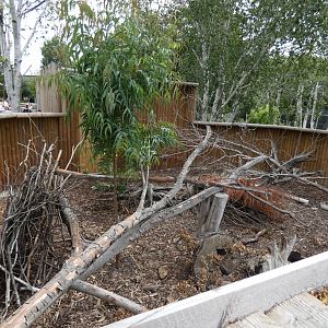 Cusimanse outdoor enclosure