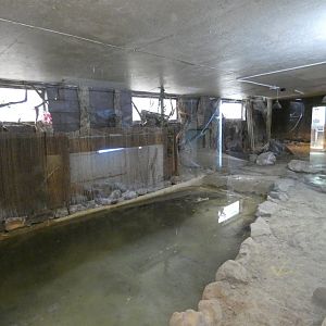 Cuban Crocodile enclosure