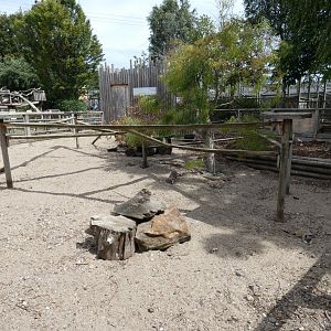 Meerkat outdoor enclosure