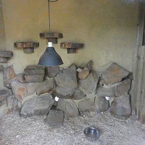 Meerkat indoor enclosure