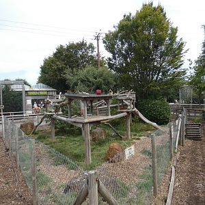 Red Panda enclosure