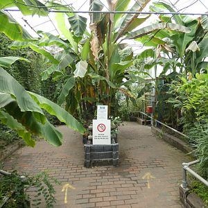 Butterfly walk-through