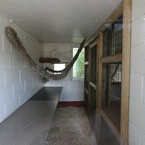 Gibbon indoor enclosure