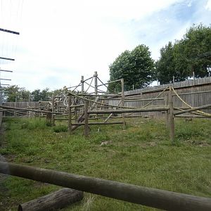 Mandrill outdoor enclosure
