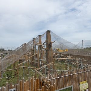 View of Orangutan outdoor enclosures from above