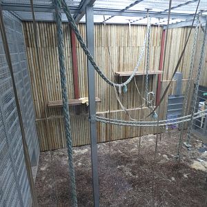 Bornean Orangutan indoor enclosure (2)