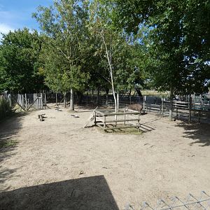 Brazilian Tapir enclosure