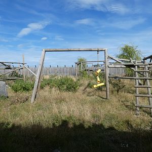 Manchurian Black Bear enclosure (2)