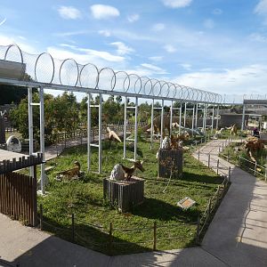 View of Dinosaur area