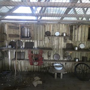 Part of Ring-tailed Coati and Racoon enclosure