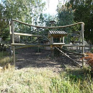 Ring-tailed Coati and Racoon enclosure