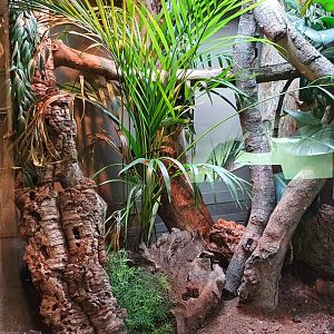 New and improved reptile enclosure at dartmoor zoo