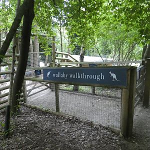 Wallaby walk-through entrance