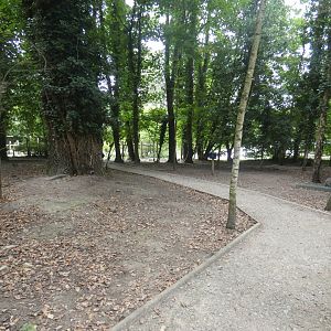 Wallaby Walk-through