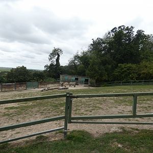 Eastern Black Rhino enclosure