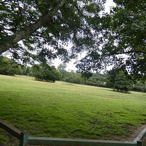 Eastern Black Rhino enclosure (2)