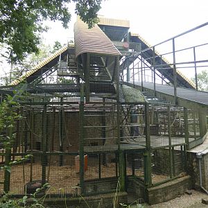 Gorilla Pavilion