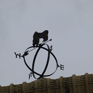 Gorilla wind vane