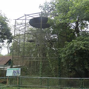 Former Chimp/Gorilla enclosure