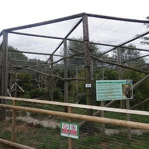 Carpathian Lynx enclosure
