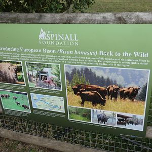 Bison reintroduction signage