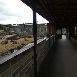 Pallas' Cat viewing area