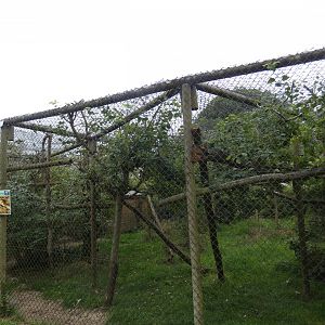 Fossa enclosure