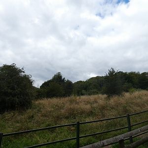 Malayan Tapir enclosure