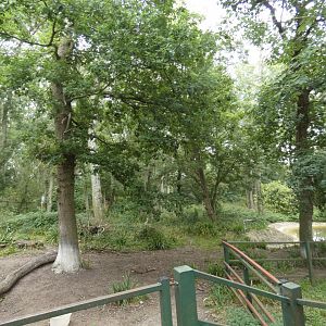 Malayan Tapir enclosure (2)