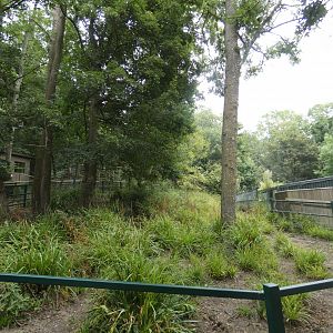 Malayan Tapir enclosure (3)