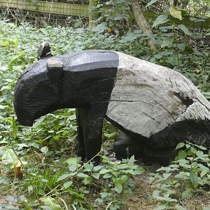 Malayan Tapir statue