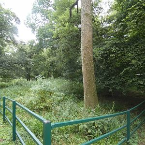 Malayan Tapir enclosure (4)