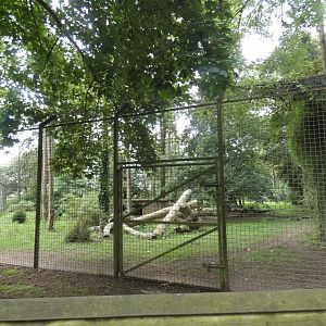 Tiger enclosure