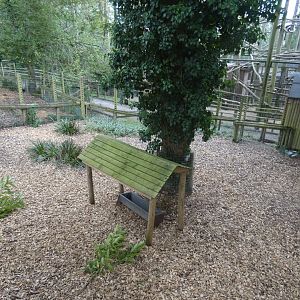 Bennett's Wallaby enclosure