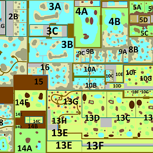 Make an Exhibit for that Country - Ecuador Part 4 - Galapagos Grandeur