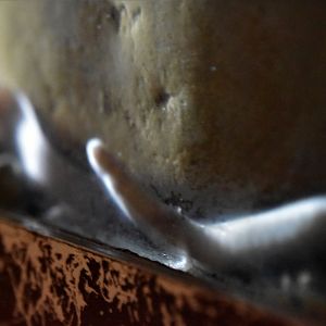 Olm, Grotte de Clamouse, France