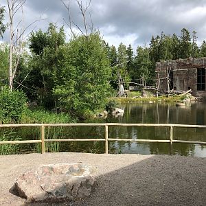Sumatran orangutan house and islands