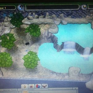 Bear Country - Sloth Bear Exhibit