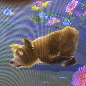 SimAnimals - Sleeping Bear Cub