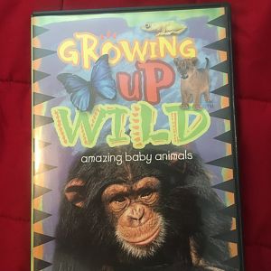 Growing Up Wild - Amazing Baby Animals